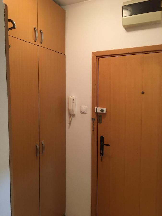 נובי סאד Studio 16 מראה חיצוני תמונה